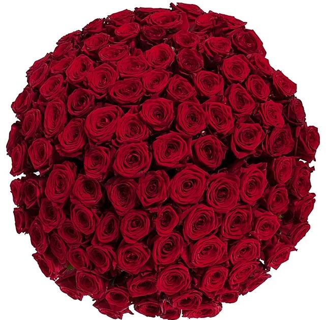 Luxury Red Naomi Rose, Luxury Rose Bouquet, Red Rose Bouquet