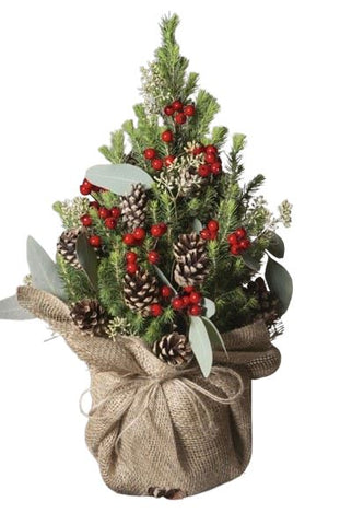 A Festively Decorated Picea Glauca Christmas Tree in a Rustic Style