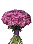 Amazing Purple Paars Chrysanthemum Bouquet