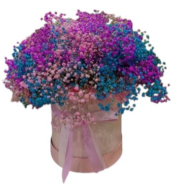 Amazing Trio Baby's Breath Box