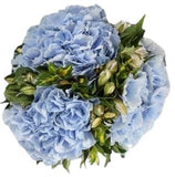 Aquamarine Bouquet