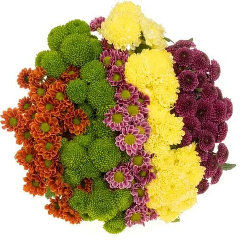 Autumn Color Palette Santini Chrysanthemum Bouquet