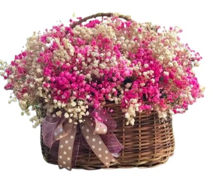 Basket of Charming Gypsophila Flowers