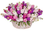 Basket of Fragrant Stocks