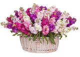 Basket of Fragrant Stocks