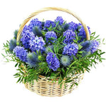 Basket of Hyacinth and Thistle with Greenery