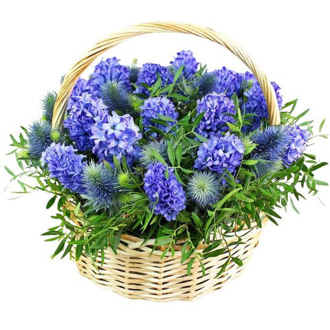 Basket of Hyacinth and Thistle with Greenery