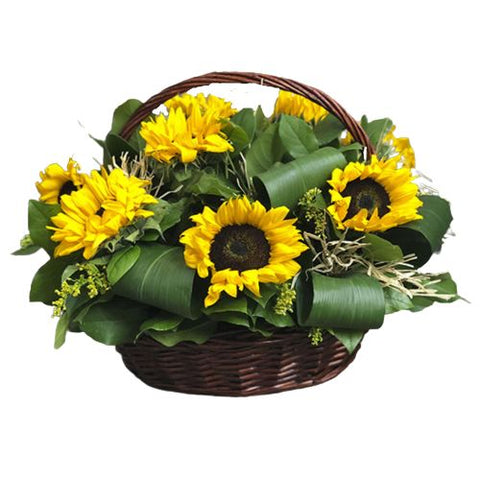 Basket of Sunflowers with Greenery