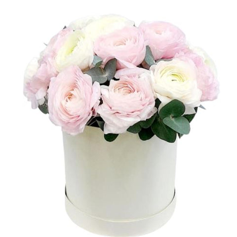 Beautiful Box of Pink and White Ranunculus Box