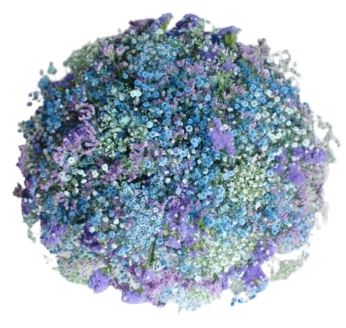 Blue and Mint Gypsophila Bouquet with Purple Limonium