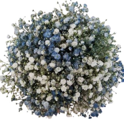 Blue and White Gypsophila Bouquet