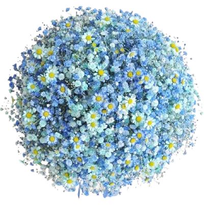 Blue Gypsophila Bouquet with Tanacetum