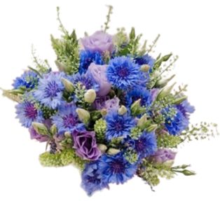 Bouquet of Cornflowers and Lisianthus