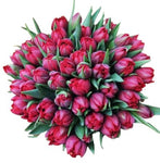 Bouquet of Luxury Red Double Tulips