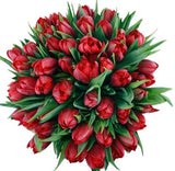 Bouquet of Luxury Red Double Tulips