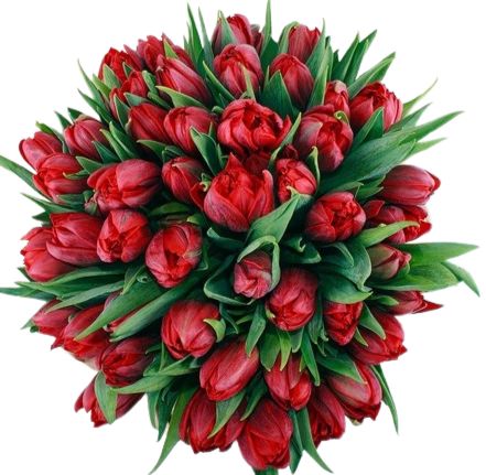 Bouquet of Luxury Red Double Tulips