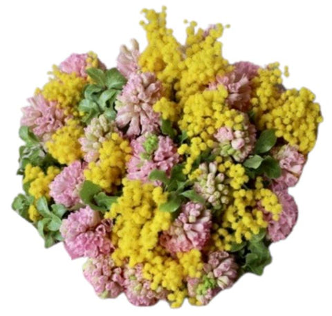 Bouquet of Mimosa and Hyacinth