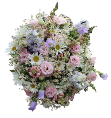 Bouquet of Pink Blooms and Daisies