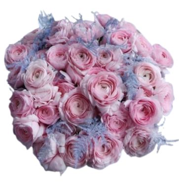 Bouquet of Pink Ranunculus with Blue Accent