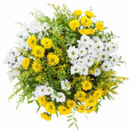 Bouquet of White and Yellow Daisy Santini Chrysanthemum