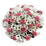 Bouquet of White Daisy Chrysanthemum and Pink Roses