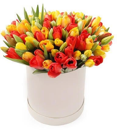 Box of Bright Colored Tulips