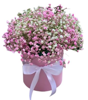 Box of Pink and White Gypsophila