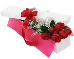 Box of Six Roses with Gypsophila