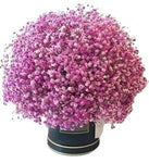 Box with Pastel Pink Gypsophila