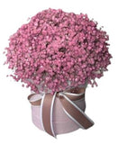 Box with Pastel Pink Gypsophila