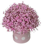 Box with Pastel Pink Gypsophila