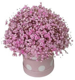 Box with Pastel Pink Gypsophila