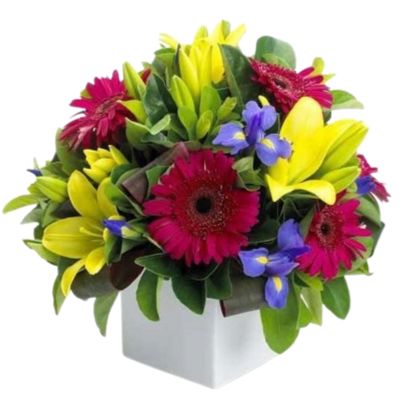 Bright Lily and Gerbera Signature Box