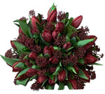 Burgundy Bouquet of Tulips and Skimmia