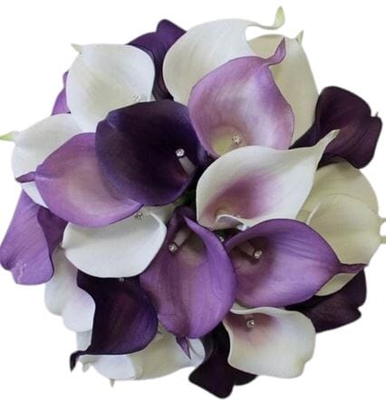 Calla Lily Trio Colour Bouquet