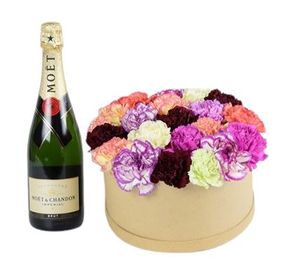 Carnations Box and Champagne Gif Set