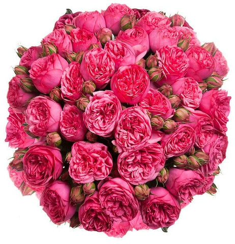 Cerise Piano Peony Spray Rose Bouquet