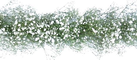 Charming Baby's Breath Event Garland