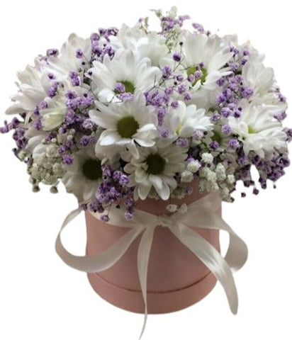 Charming Daisy Chrysanthemum with Gypsophilum Box