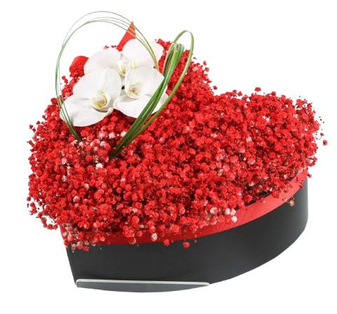 Charming Gypsophila Box with Orchids Accent