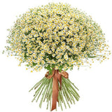 Cheerful Tanacetum Bouquet