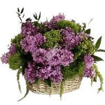 Chic Basket of Lilac and Green