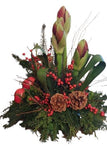 Christmas Centerpiece with Red Amarylis and Ilex Berries