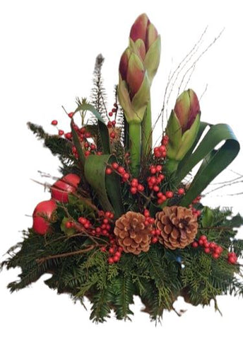 Christmas Centerpiece with Red Amarylis and Ilex Berries