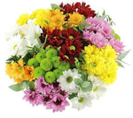 Chrysanthemum Carnival Bouquet