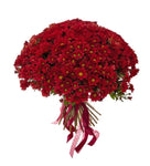 Chrysanthemum Daisy Red Bouquet