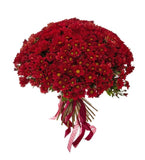 Chrysanthemum Daisy Red Bouquet