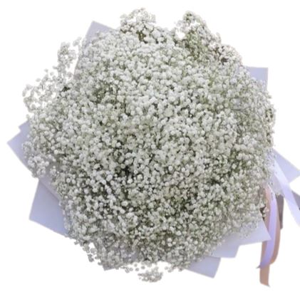 Classic White Gypsophila Bouquet