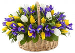 Colored Tulips with Iris Basket