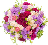 Colorful Carnations Bouquet with Bupleurum